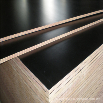 Pegamento impermeable 12mm 15mm 18mm Poplar o Madera dura Brown o negro Color marino contrachapado para la construcción